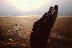 My beautiful picture