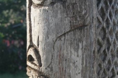 IMG_1257