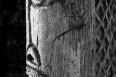IMG_1257_2