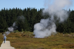 NS214