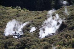NS215