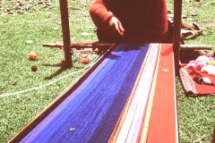 My beautiful picture