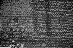 My beautiful picture