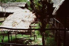 My beautiful picture