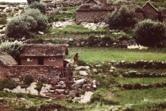 My beautiful picture