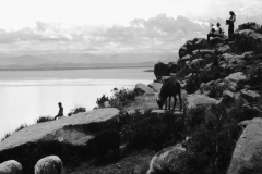 My beautiful picture