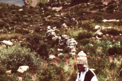 My beautiful picture