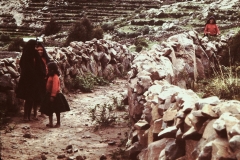 My beautiful picture