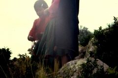 My beautiful picture