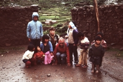 My beautiful picture