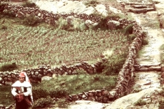 My beautiful picture