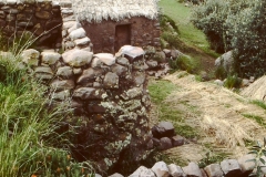 My beautiful picture