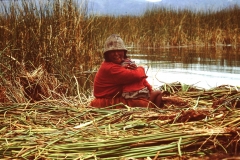 My beautiful picture