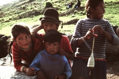 My beautiful picture