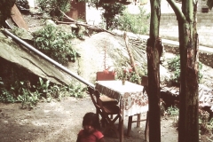 My beautiful picture