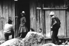 My beautiful picture