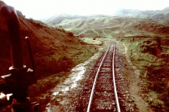 My beautiful picture