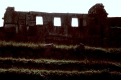 My beautiful picture