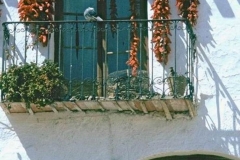 125_2