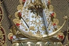 50_2
