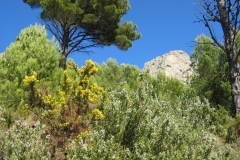 Bergwelt