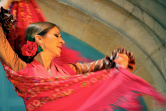 Flamenco