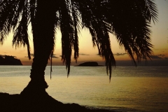 My beautiful picture