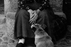 Hundemutter