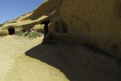 IMG_0340.JPG