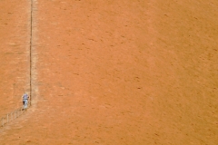 My beautiful picture