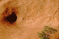 My beautiful picture