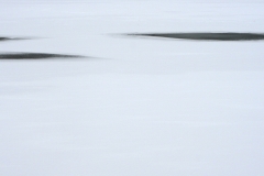IMG_4230.JPG