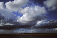 My beautiful picture