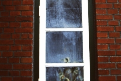 My beautiful picture