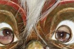 Maskenauge