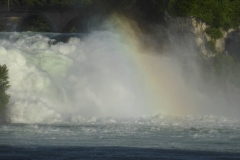 P1000273