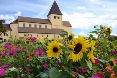 Reichenau