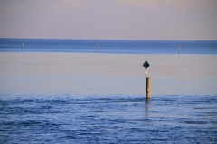 See