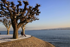 Winter-a.