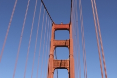 USA013155
