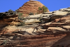 USA01367