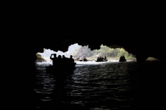 IMG_6911