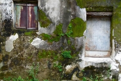 P1080130