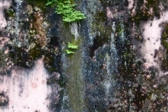 P1080137