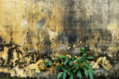 P1080139